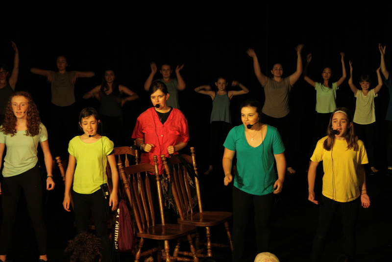 Musical Theatre Song Singing and Vocal Camp
