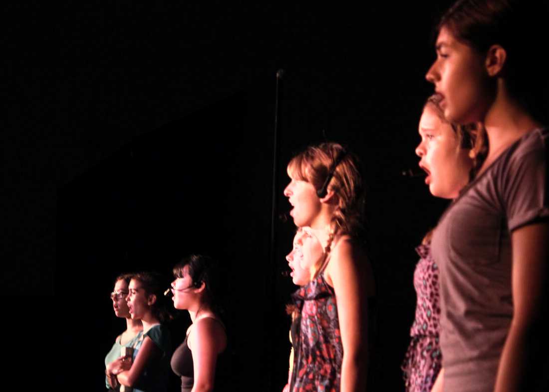 Musical Theatre and Vocal classes