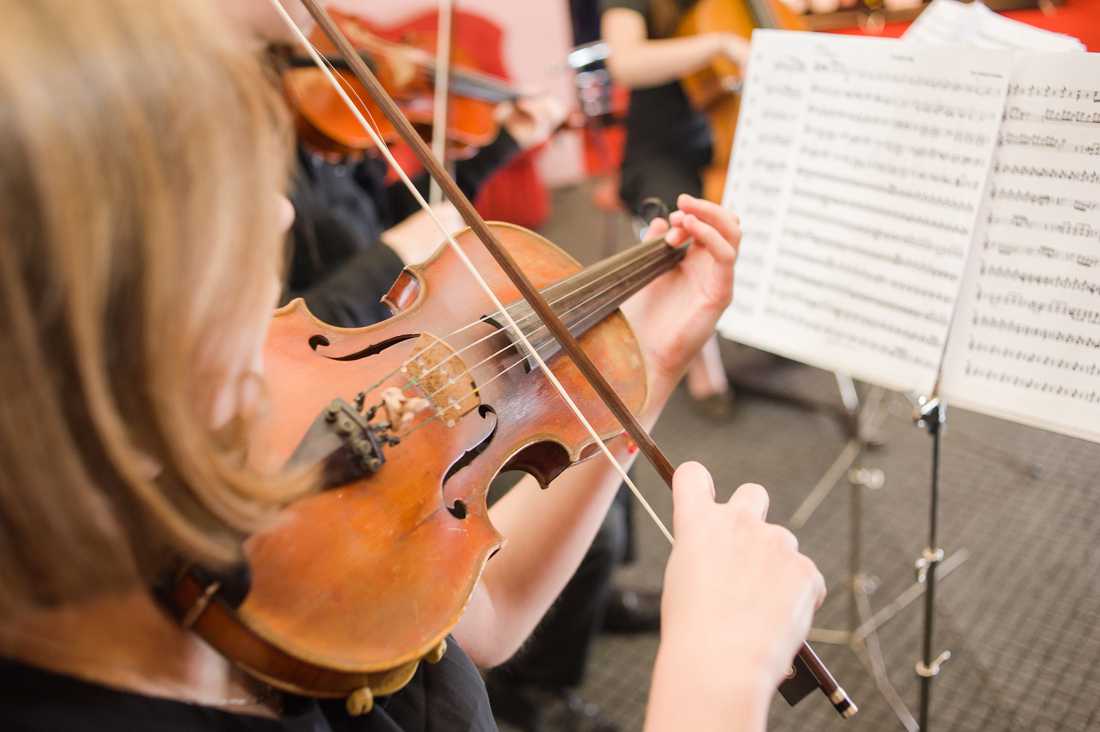 Music camp: Strings